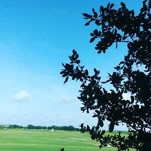 Meet your Posher, Vicky